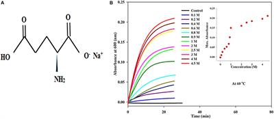 Rationalizing the Role of Monosodium Glutamate in the Protein Aggregation Through Biophysical Approaches: Potential Impact on Neurodegeneration